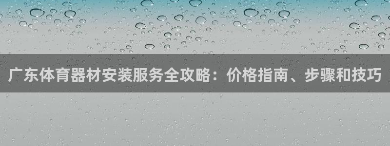 尊龙手机客户端下载：广东体育器材安装服务全攻略：价格