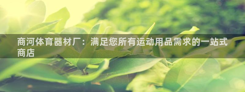 尊龙凯时请求参数不符合