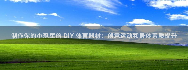 尊龙平台有谁玩过：制作你的小冠军的 DIY 体育器材